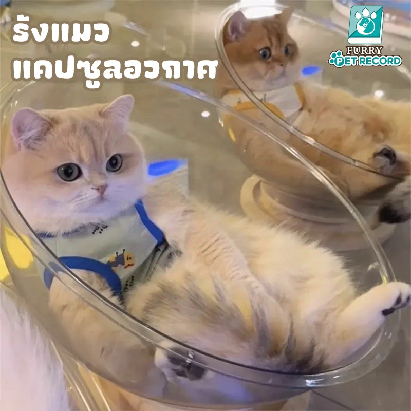 PET-RECORD รังแมวแคปซูลอวกาศ บ้านแมว คอกแมว คอนโดแมว ที่นอนสัตว์เลี้ยง หลุมอวกาศ ที่นอนแมวของเล่นแมว