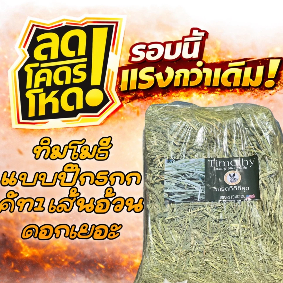 หญ้าทิมโมธีแบบปึก เส้นนิ่มใหญ่ ใบเยอะ ดอกเยอะ สำหรับกระต่าย