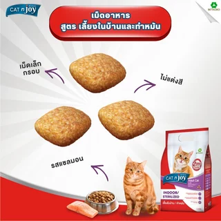 CAT n joy อาหารแมว สูตรเลี้ยงในบ้านและทำหมัน สำหรับแมวโต 1 ปีขึ้นไป รสแซลมอน ขนาด 400 กรัม