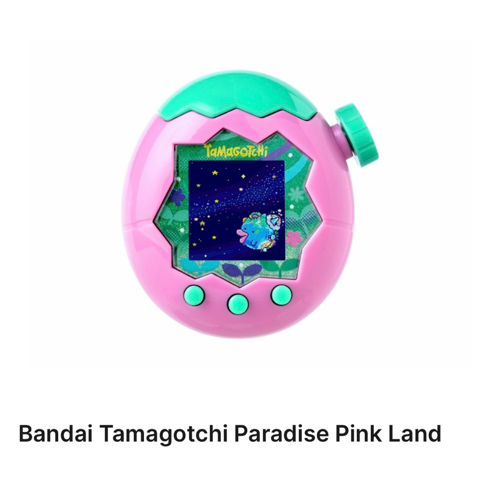 รูปภาพ 5