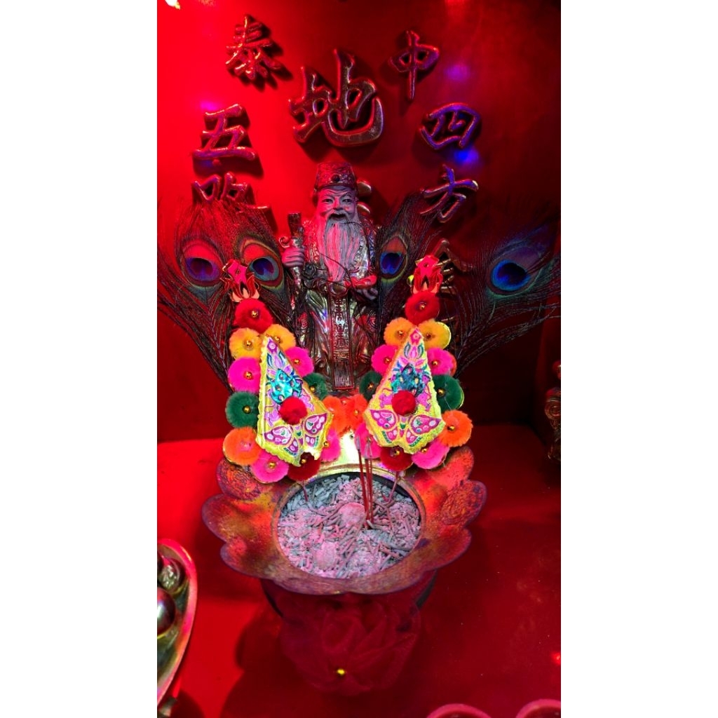 กิมฮวยหางนกยูงใช้ปักในกระถางธูปลูกค้ากทม.สั่งส่งด่วนโดยShoppeefoodได้คะ - รูปที่ 2