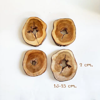 Prosco | แผ่นไม้และท่อนไม้แห้ง ธรรมชาติ สำหรับตกแต่ง วางสินค้า พร็อพถ่ายรูป คริสมาส