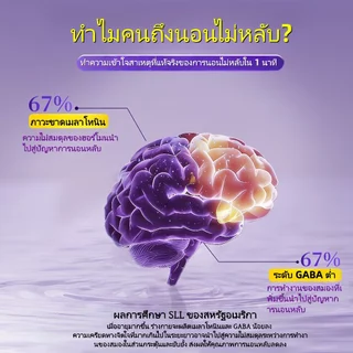 BIYOED Vitamin Projects sleep Gummies กัมมี่ช่วยให้นอนหลับ หลับลึก ผ่อนคลาย 60เม็ด