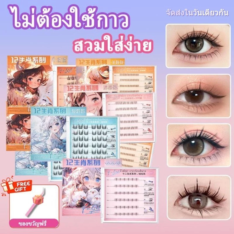 ลดราคาปล่อยสต็อก ขนตาปลอมซีรีส์12นักษัตร ไม่ต้องใช้กาว มี30/36ช่อต่อกล่อง สามารถใช้ซ้ำได้ thumbnail 3