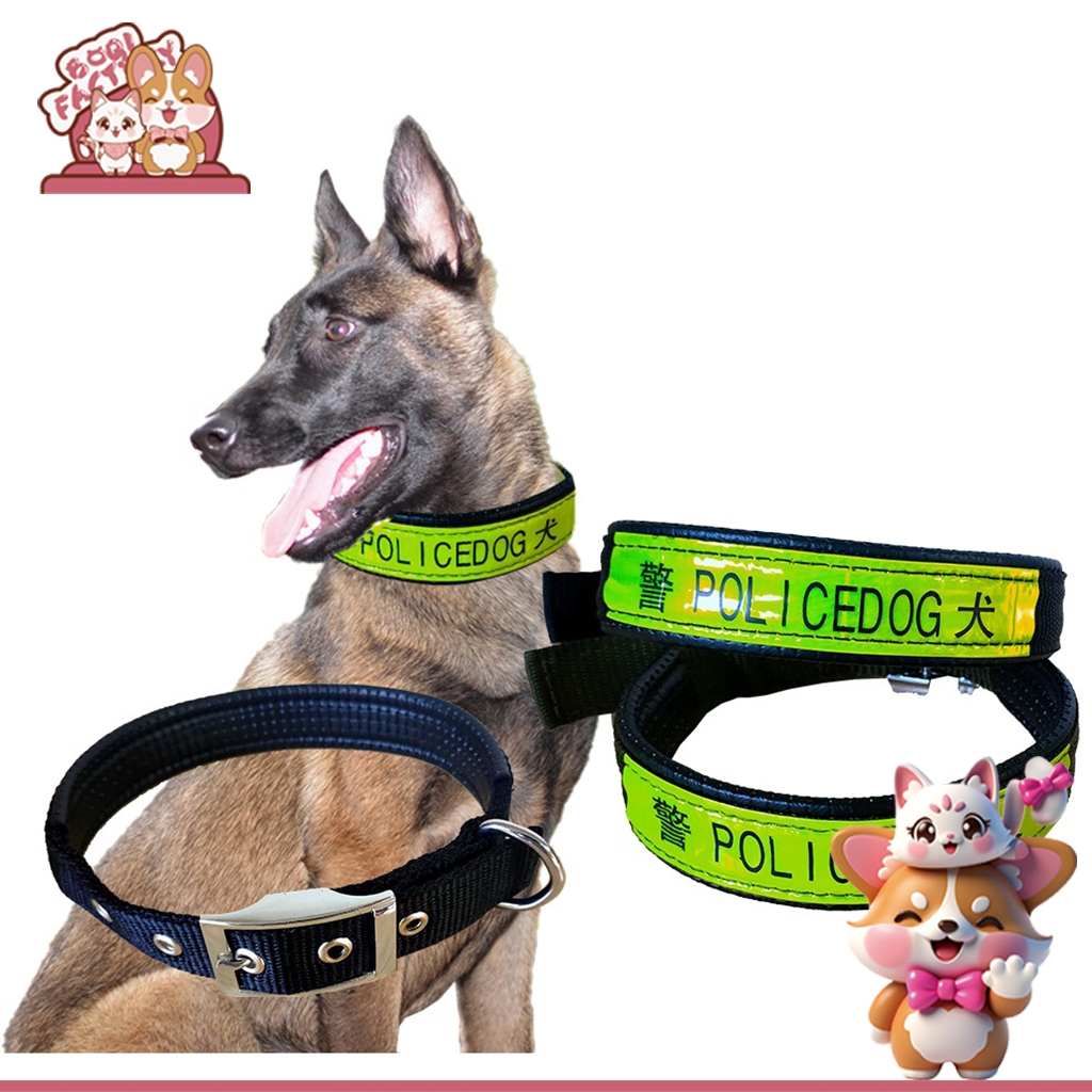 Boqi factory ปลอกคอสุนัข # ZC-2 ขนาด 2.5 cm