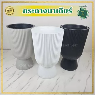 กระถางนาเดียร์ ขนาด 9.5 นิ้ว กระถางพลาสติกแข็งแรงและทนทาน ไม่แตกหักง่าย มีน้ำหนักเบา เคลื่อนย้ายได้สะดวก