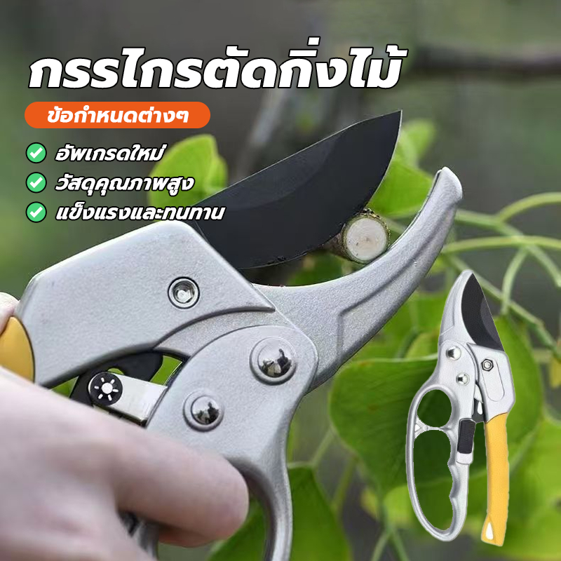 กรรไกรแต่งกิ่ง กรรไกรตัดกิ่งไม้ กรรไกรตัดแต่งกิ่งไม้ การออกแบบที่สวยงาม สีสันสดใส ความแข็งสูง ใช้งานได้จริง
