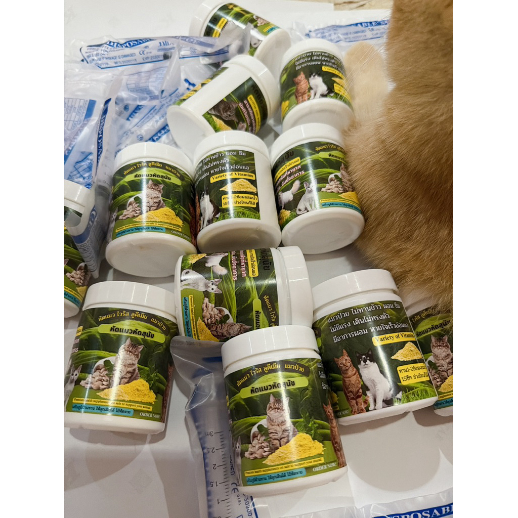 หัดแมวไข้ซึมถ่ายเหลว