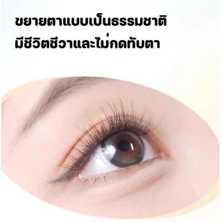 ขนตาปลอมแบบติดตัวเอง ไม่ต้องใช้กาว รุ่นอัพเกรด ขนตาปลอมแบบไม่ต้องใช้กาว ขนตาปลอมยาว 9-13 มม.