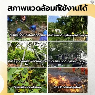 【วัชพืชดื้อ】กำจัดวัชพืช 500g ยาฆ่าตอไม้ ยาฆ่าต้นไม้ใหญ ตรงไปที่ราก สารกำจัดกอไผ่ สากลทุกฤดูกาล ผลติดทนนาน