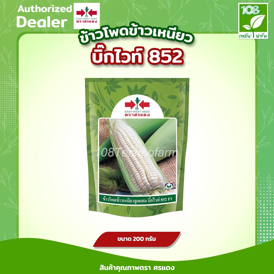 เมล็ดพันธุ์ ข้าวโพดข้าวเหนียว บิ๊กไวท์ 852 ตราศรแดง  ขนาด  200  กรัม