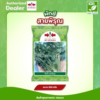 เมล็ดพันธุ์ ผักชี สายพิรุณ ตราศรแดง ขนาด 300 กรัม