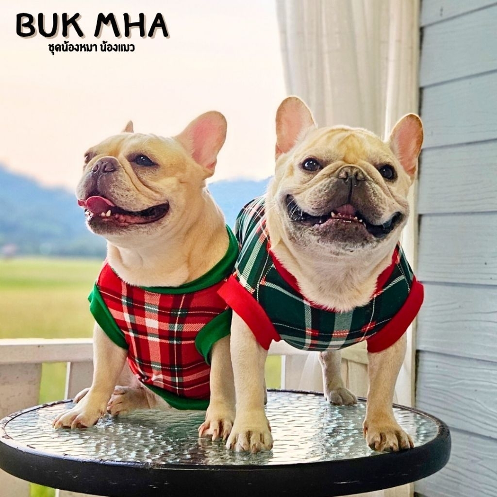 CA9เสื้อลายสก๊อตสำหรับน้องหมาน้องแมวใส่แล้วน้าร้ากกก
