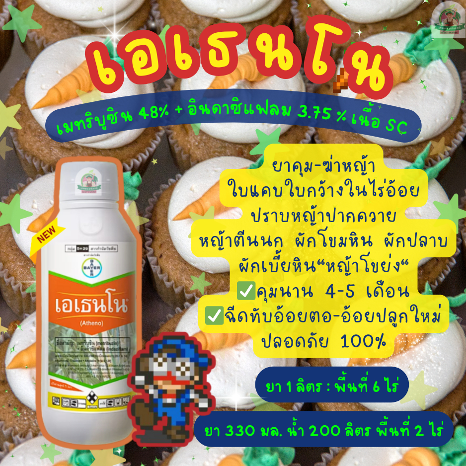 เอเธนโน 1 ลิตร เมทริบูซิน + อินดาซิแฟลม ไบเออร์ ยาฆ่าหญ้า คุมหญ้า ใบแคบ ใบกว้าง ในไร่อ้อย