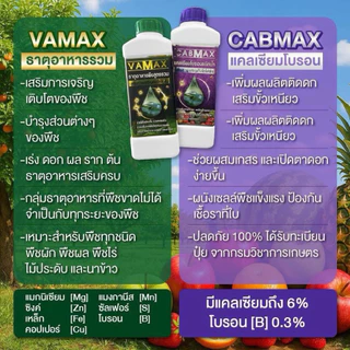 เซต 4 สูตร CABMAX แคลเซียมโบรอน+VAMAXธาตุรวม+BIONAXจับใบปรับสภาพน้ำ+ZENMAXอะมิโนรวม ชุดนี้ได้ 4 ขวด(C1+V1+Z1+B1)