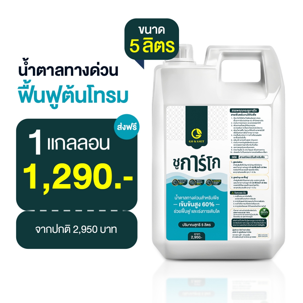 (1แกลลอน) ชูการ์โก ขนาด 5 ลิตร - SUGAR GO น้ำตาลทางด่วนสำหรับพืช ปุ๋ยน้ำ ปุ่ญกุหลาบ ช่วยเร่งราก