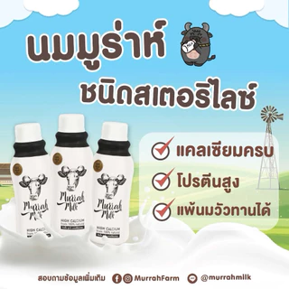 ST ใหม่! นมควายมูร่าห์ ST 48 ขวด Murrah Milk (นมควายมูร่าห์แบบสเตอริไรส์) | เสริมโปรตีน แคลเซียม สูงเร็ว โตไว