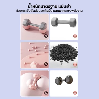 Crassula แท้ ดัมเบลปูนซีเมนต์ Cement Dumbbells แบบคลาสสิก สำหรับสร้างกล้ามเนื้อ เวทเทรนนิ่ง ออกกำลังกายที่บ้าน