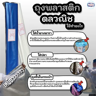 [ ส่งฟรี 🔥 ] ถุงหนาพิเศษ ถุงอเนกประสงค์ ถุงน้ำยาง กันน้ำ ทน เหนียว หนา ซีน 3 ช้ัน ไม่รั่ว ไม่ซึม ขนาด 24x42,26x42 นิ้ว