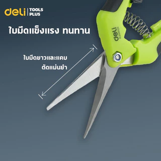 Deli กรรไกรตัดกิ่ง กรรไกรตัดแต่งกิ่ง มีล็อค ปลอดภัย ใบมีดคม 6.5 นิ้ว ด้ามยางกันลื่น Pruning Shears