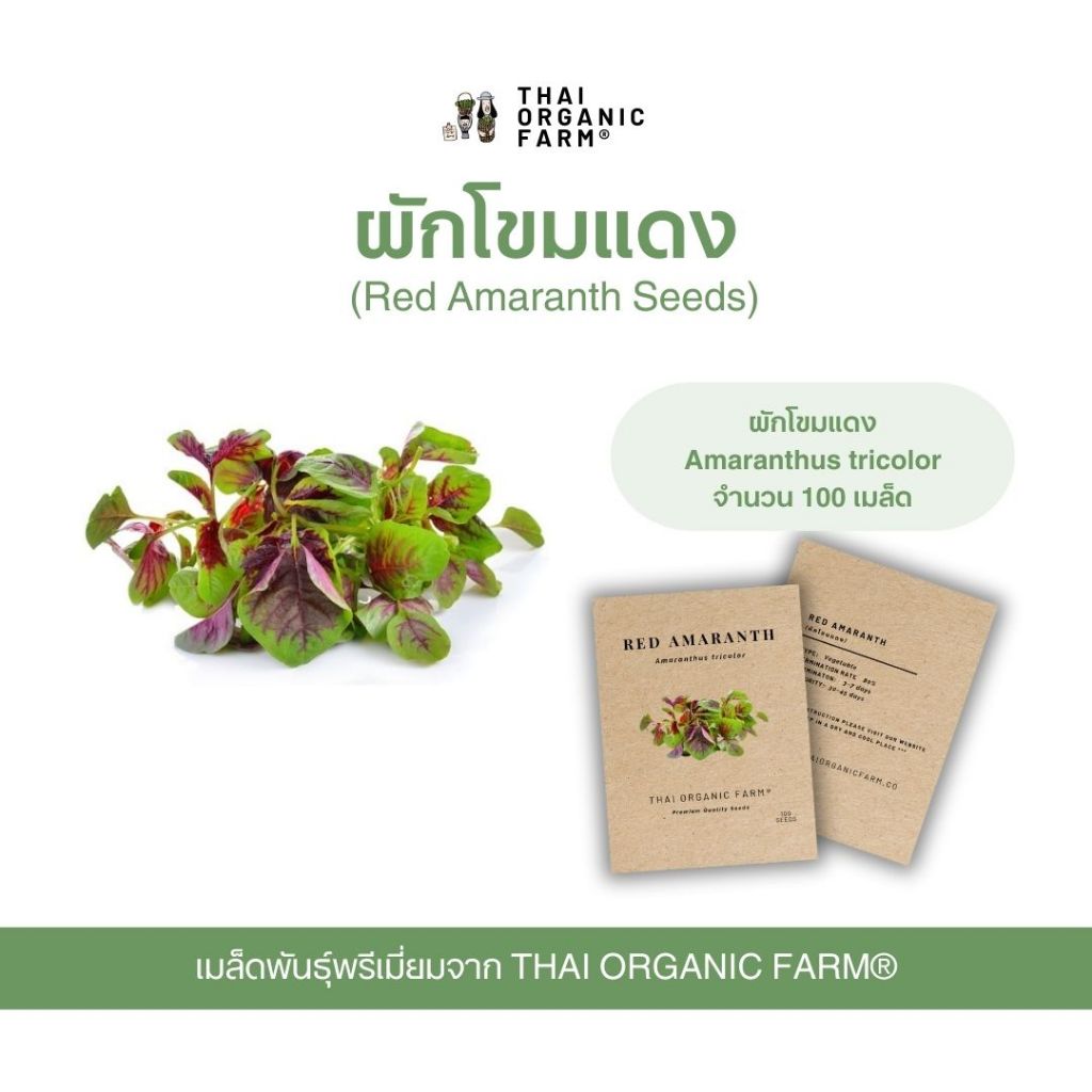 Premium Quality Seeds เมล็ดพันธุ์ ผักโขมแดง พรีเมี่ยม THAI ORGANIC FARM®