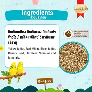 (โฉมใหม่!) สมาร์ทฮาร์ท อาหารนกหงส์หยก สูตรบำรุงขน1 กก. / SmartHeart Budgies Food Feather Care 1 kg.