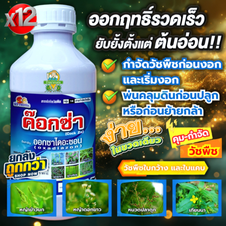ค๊อกซ่า‼️1 ลิตร 12 ขวด‼️ออกซาไดอะซอน 25% EC ใช้แบบ รอนสตาร์ คุมหญ้าทุกชนิด คุมหญ้านาหว่านข้าวแห้ง
