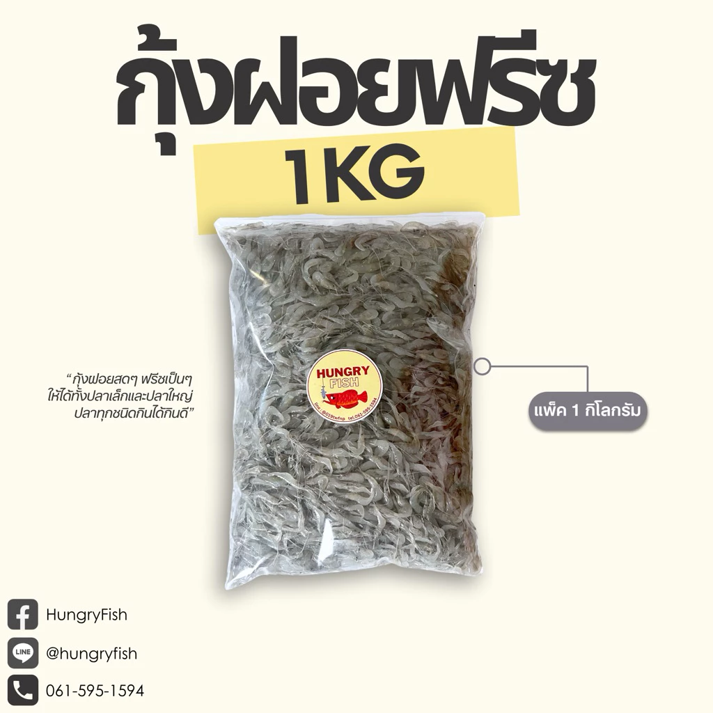 🔥ส่งด่วนจากนนทบุรี🔥กุ้งฝอยแช่แข็ง แพ็ค 1 กิโลกรัม | ปลาทุกชนิดกินดี | HungryFish