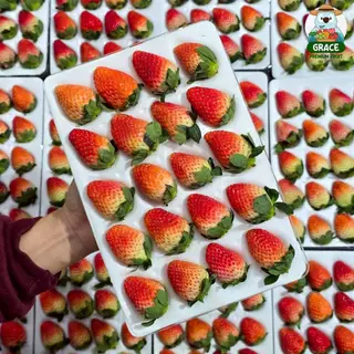 🍓 สตอเบอรี่สด 🍓 แพ็ค 20-24 ลูก โปรดอ่านรายละเอียดก่อนสั่งซื้อ