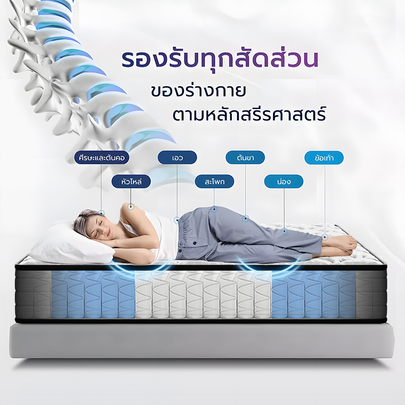 【รับประกัน 10 ปี】DreaME เย็นสบาย ระบายอากาศ ที่นอนพ็อกเก็ตสปริงแยกอิสระ 8 นิ้ว มีความยืดหยุ่นสูง ที่นอนยางพารา ราคา ถูกที่สุด ดีลบีเคเค แกลเลอรีภาพที่ 6