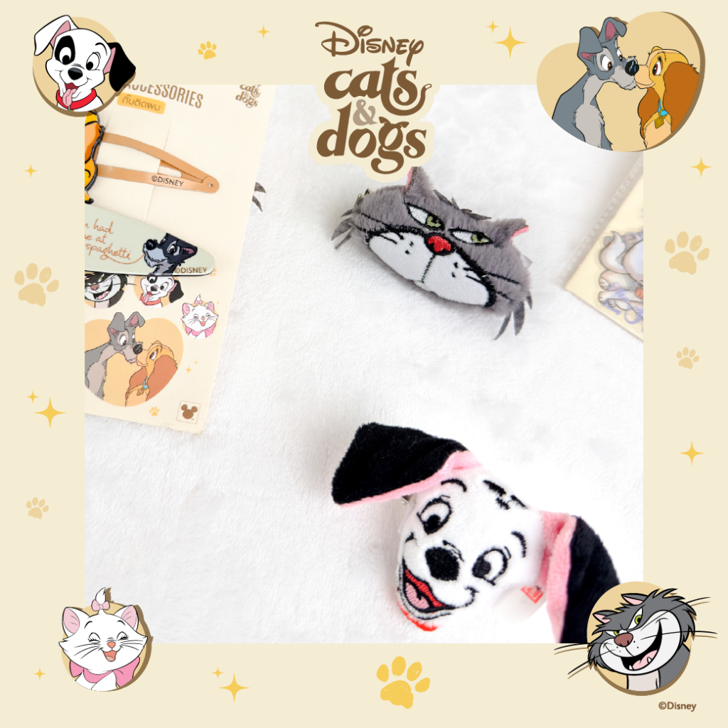 รูปภาพ 4