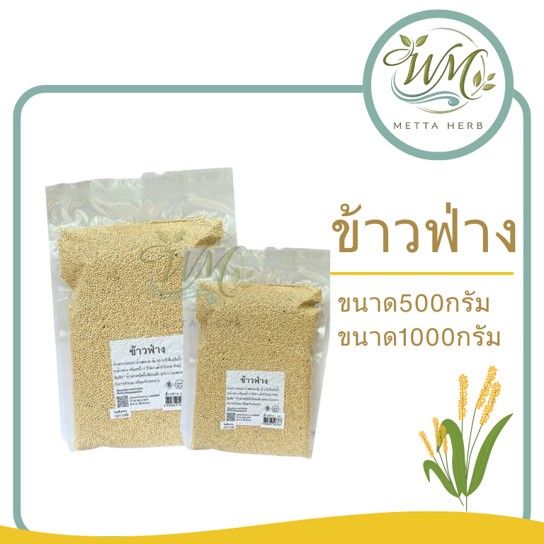 ข้าวฟ่าง  ธัญพืช ขนาด500/1,000กรัม(ข้าวฟ่าง ไม่กระเทาะเปลือก ไม่เหมาะสำหรับทำอาหาร)