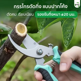 SGE กรรไกรตัดกิ่ง ตัดแต่งกิ่ง ปากโค้ง ขนาด 7 นิ้ว ตัดกิ่งหนาขาดในครั้งเดียว ตอบโจทย์งานเกษตรทุกชนิด