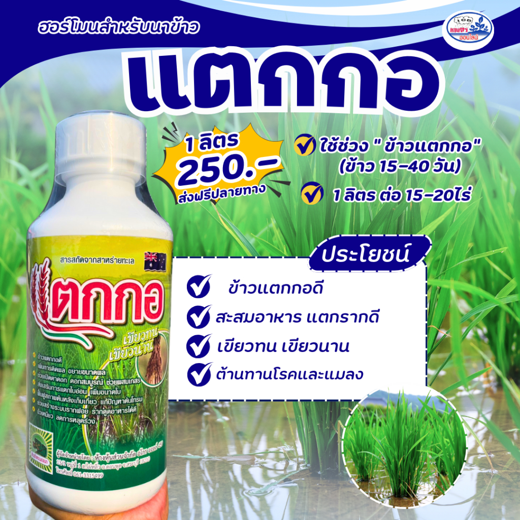 ฮอร์โมนสำหรับนาข้าว แตกกอ บรรจุ 1 ลิตร