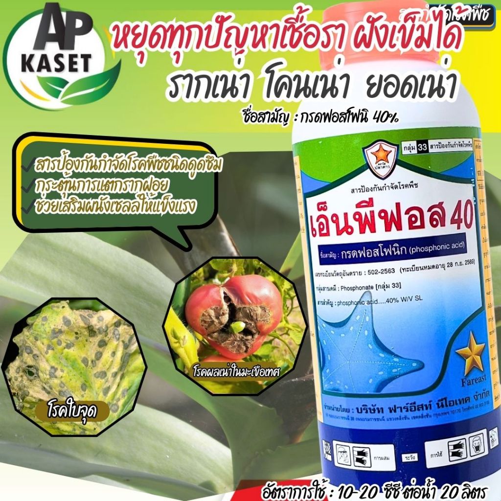 พร้อมส่ง โปร 1 แถม 1 เอ็นพีฟอส 40 ยาเชื้อรา สารกรดฟอสโฟนิค ทาแผล ฝังเข็ม ป้องกัน ใบแห้ง ยอดเน่า ผลเน่า ขนาด 1 ลิตร