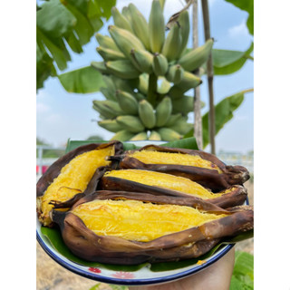 กล้วยหักมุก กล้วย กล้วยปลอดสาร