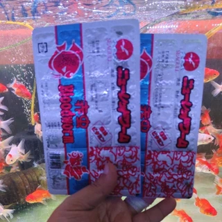 หนอนแดงแช่แข็ง BLOODWORM SEAGULL 100 กรัม เงินแดง 1แพ็คมี 28 หลุมExpress Delivery (SHP Food) เท่านั้น
