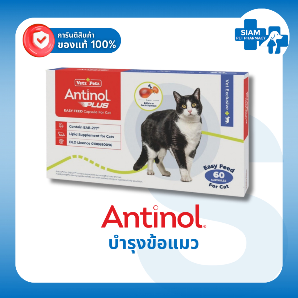 Antinol Cat EAB 277 สูตรใหม่ อาหารเสริมแมว บำรุงข้อ ลดอักเสบผิวหนัง โอเมก้าเข้มข้น 1 กล่อง 60 แคปซูล