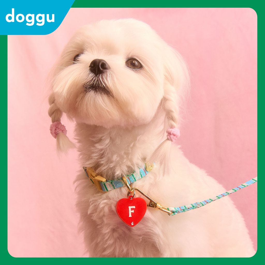 [พร้อมส่ง] DOGGU ปลอกคอ สายจูงสัตว์เลี้ยง น้องหมาเล็ก รุ่น Sleepy Apartment