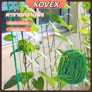 KOVEX ตาข่ายสำหรับพืชไม้เลื้อย ตาข่ายไม้เลือย ตาข่ายปลูกผัก ค้างไม้เลื้อย ค้างผัก