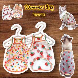 (B15)เสื้อSummer ซีทรู สุนัข - แมว (*พร้อมส่งจากไทย!!*) ลายน…
