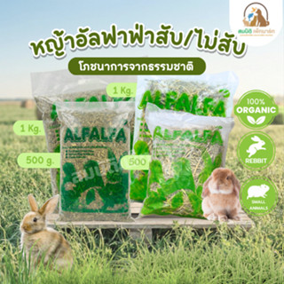 หญ้าอัลฟาฟ่า (ALFALFA Hay – ก้านใบ) แบบสับ/ไม่สับ อาหารเสริม…