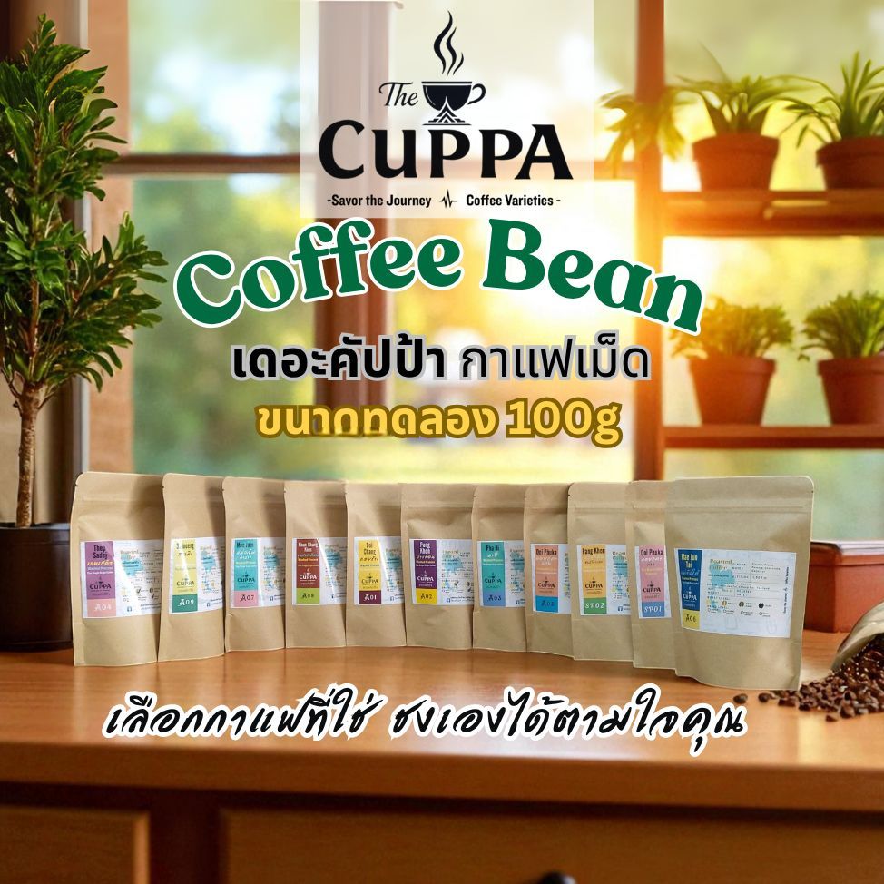 เดอะคัปป้า กาแฟเม็ดขนาดทดลอง 100g แจ้งบดในแชท | The Cuppa Single origin Arabica Coffee 100g
