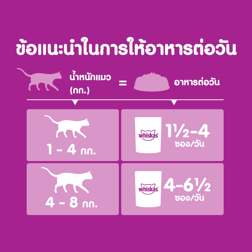 [48 ฟรี 12] WHISKAS วิสกัส อาหารเปียกแมว ลูกแมว แมวโต แมวสูงวัย เลือกรสชาติได้ 80ก. thumbnail 8
