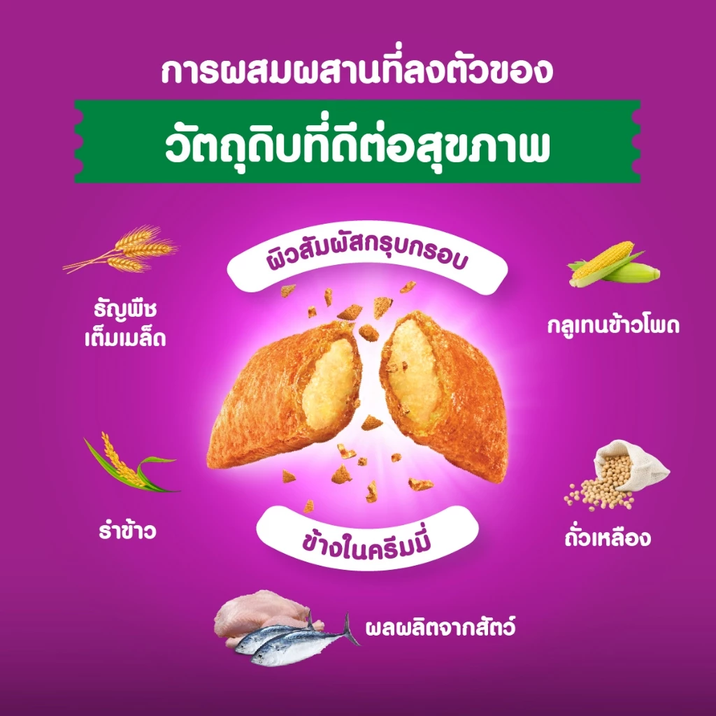 WHISKAS วิสกัส อาหารเม็ดแมวสำหรับแมวโต 3 กก. thumbnail 5