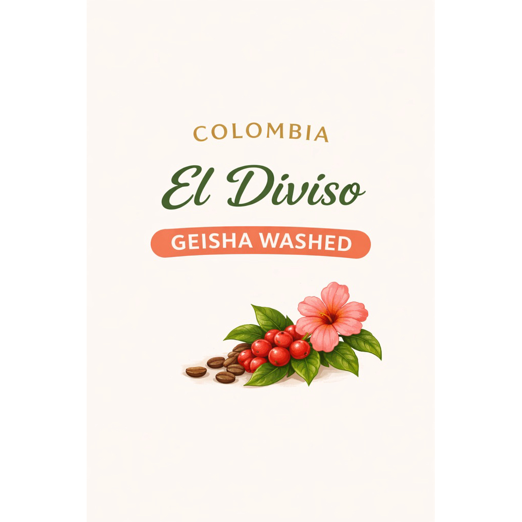 เมล็ดกาแฟเกอิชา Geisha Washed process(Colombia El Diviso)