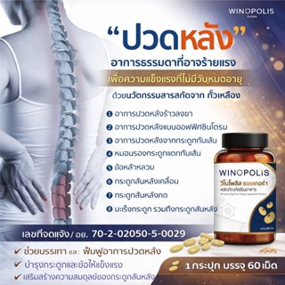 ✨Winopolis SoyThera ✨ วิโนโพลิส ซอยเทอร่า