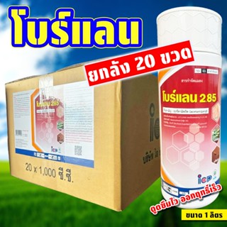 (ยกลัง20ขวด) โบร์แลน 285 ขนาด 1 ลิตร อะซีทามีพริด ป้องกันกำจ…