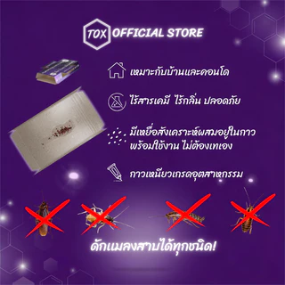 TOX บ้านกาวดักแมลงสาบ | 3-5 หลัง | มีเหยื่อสังเคราะห์ในตัว | ดักแมลงสาบเเละจิ้งจกได้ทุกสายพันธุ์ | ไร้สารเคมี | ปลอดภัย