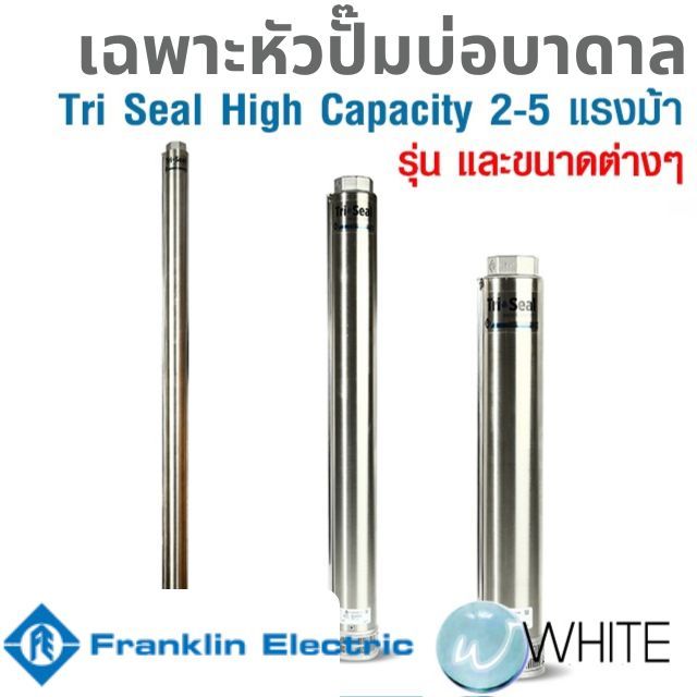 เฉพาะหัวปั๊มบ่อบาดาล 2 นิ้ว Tri Seal High Capacity Pumps 2-5 แรงม้า ยี่ห้อ FRANKLIN